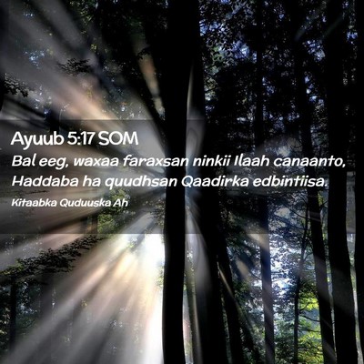 Picture 02 - Ayuub 5:17 SOM - Bal eeg, waxaa faraxsan ninkii Ilaah canaanto, - Bible Verse Picture