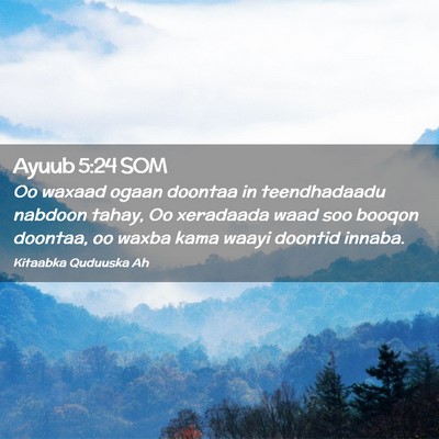 Picture 02 - Ayuub 5:24 SOM - Oo waxaad ogaan doontaa in teendhadaadu nabdoon - Bible Verse Picture