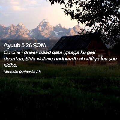 Picture 02 - Ayuub 5:26 SOM - Oo cimri dheer baad qabrigaaga ku geli doontaa, - Bible Verse Picture