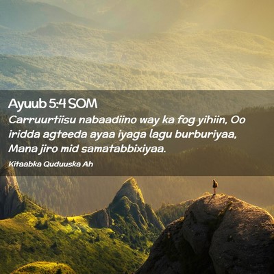 Picture 02 - Ayuub 5:4 SOM - Carruurtiisu nabaadiino way ka fog yihiin, Oo - Bible Verse Picture