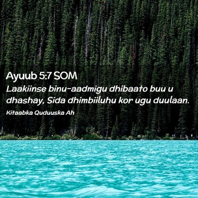 Picture 02 - Ayuub 5:7 SOM - Laakiinse binu-aadmigu dhibaato buu u dhashay, - Bible Verse Picture