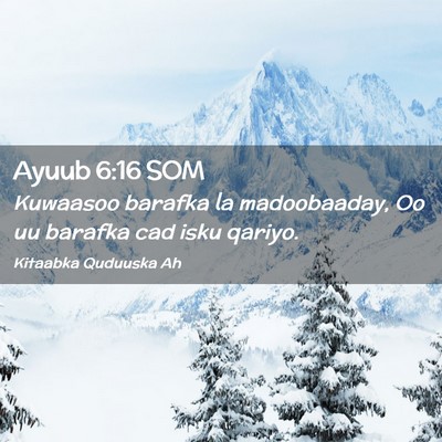 Picture 02 - Ayuub 6:16 SOM - Kuwaasoo barafka la madoobaaday, Oo uu barafka - Bible Verse Picture