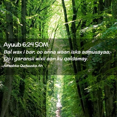 Picture 02 - Ayuub 6:24 SOM - Bal wax i bar, oo anna waan iska aamusayaa; Oo i - Bible Verse Picture