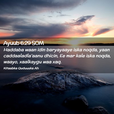 Picture 02 - Ayuub 6:29 SOM - Haddaba waan idin baryayaaye iska noqda, yaan - Bible Verse Picture