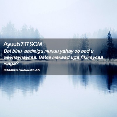 Picture 02 - Ayuub 7:17 SOM - Bal binu-aadmigu muxuu yahay oo aad u - Bible Verse Picture
