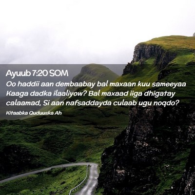 Picture 02 - Ayuub 7:20 SOM - Oo haddii aan dembaabay bal maxaan kuu sameeyaa - Bible Verse Picture