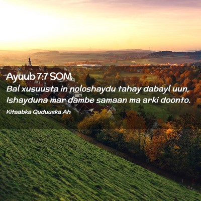 Picture 02 - Ayuub 7:7 SOM - Bal xusuusta in noloshaydu tahay dabayl uun, - Bible Verse Picture