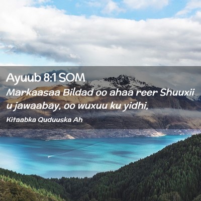 Picture 02 - Ayuub 8:1 SOM - Markaasaa Bildad oo ahaa reer Shuuxii u jawaabay, - Bible Verse Picture