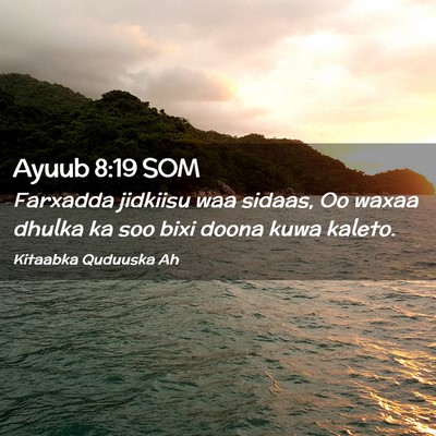 Picture 02 - Ayuub 8:19 SOM - Farxadda jidkiisu waa sidaas, Oo waxaa dhulka ka - Bible Verse Picture