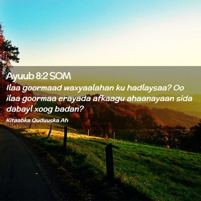 Picture 02 - Ayuub 8:2 SOM - Ilaa goormaad waxyaalahan ku hadlaysaa? Oo ilaa - Bible Verse Picture