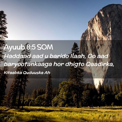 Picture 02 - Ayuub 8:5 SOM - Haddaad aad u barido Ilaah, Oo aad baryootankaaga - Bible Verse Picture