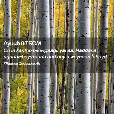 Picture 02 - Ayuub 8:7 SOM - Oo in kastoo bilowgaagii yaraa, Haddana - Bible Verse Picture