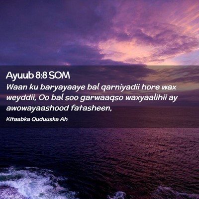 Picture 02 - Ayuub 8:8 SOM - Waan ku baryayaaye bal qarniyadii hore wax - Bible Verse Picture