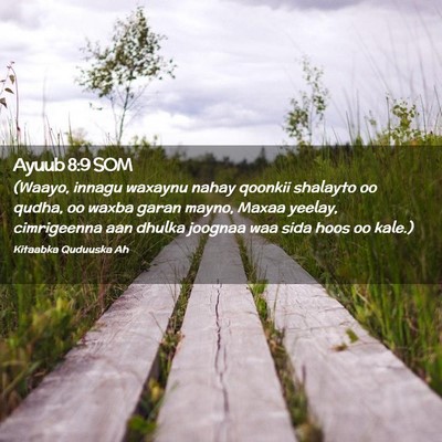 Picture 02 - Ayuub 8:9 SOM - (Waayo, innagu waxaynu nahay qoonkii shalayto oo - Bible Verse Picture