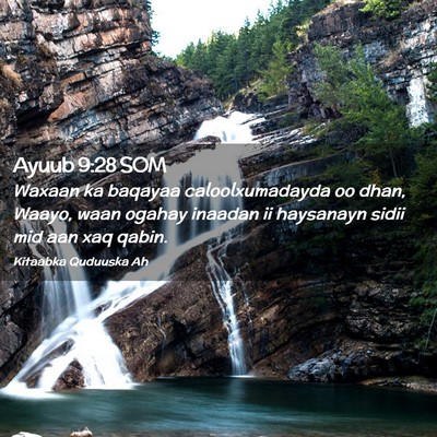 Picture 02 - Ayuub 9:28 SOM - Waxaan ka baqayaa caloolxumadayda oo dhan, Waayo, - Bible Verse Picture