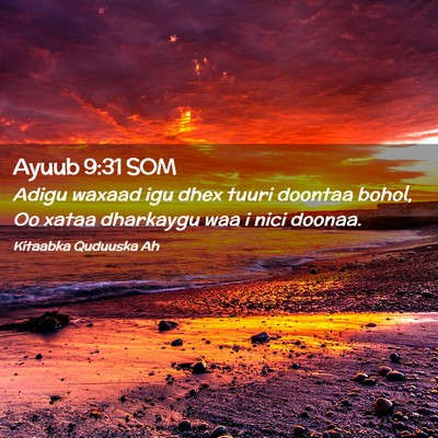 Picture 02 - Ayuub 9:31 SOM - Adigu waxaad igu dhex tuuri doontaa bohol, Oo - Bible Verse Picture