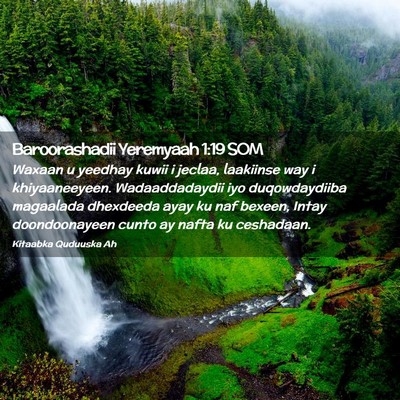 Picture 02 - Baroorashadii Yeremyaah 1:19 SOM - Waxaan u yeedhay kuwii i jeclaa, laakiinse way i - Bible Verse Picture