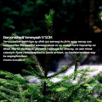 Picture 02 - Baroorashadii Yeremyaah 1:7 SOM - Yeruusaalem wakhtiga ay dhib iyo wareeg ku jirto - Bible Verse Picture