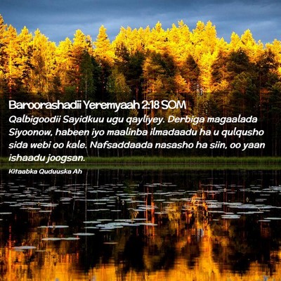 Picture 02 - Baroorashadii Yeremyaah 2:18 SOM - Qalbigoodii Sayidkuu ugu qayliyey. Derbiga - Bible Verse Picture