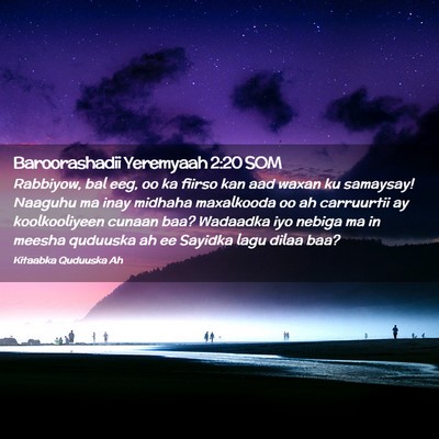 Picture 02 - Baroorashadii Yeremyaah 2:20 SOM - Rabbiyow, bal eeg, oo ka fiirso kan aad waxan ku - Bible Verse Picture