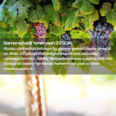 Picture 02 - Baroorashadii Yeremyaah 2:3 SOM - Wuxuu cadhadiisii kululayd ku gooyay geeskii - Bible Verse Picture