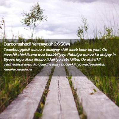 Picture 02 - Baroorashadii Yeremyaah 2:6 SOM - Taambuuggiisii wuxuu u dumiyey sidii waab beer ku - Bible Verse Picture
