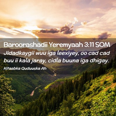 Picture 02 - Baroorashadii Yeremyaah 3:11 SOM - Jidadkaygii wuu iga leexiyey, oo cad cad buu ii - Bible Verse Picture