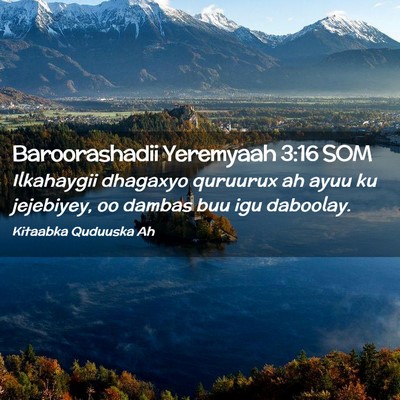 Picture 02 - Baroorashadii Yeremyaah 3:16 SOM - Ilkahaygii dhagaxyo quruurux ah ayuu ku - Bible Verse Picture