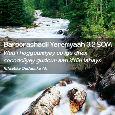 Picture 02 - Baroorashadii Yeremyaah 3:2 SOM - Wuu i hoggaamiyey oo igu dhex socodsiiyey gudcur - Bible Verse Picture