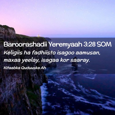 Picture 02 - Baroorashadii Yeremyaah 3:28 SOM - Keligiis ha fadhiisto isagoo aamusan, maxaa - Bible Verse Picture