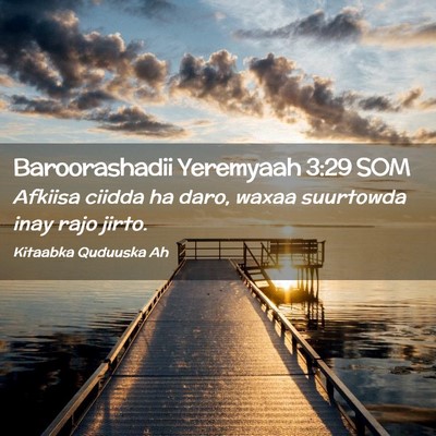 Picture 02 - Baroorashadii Yeremyaah 3:29 SOM - Afkiisa ciidda ha daro, waxaa suurtowda inay rajo - Bible Verse Picture