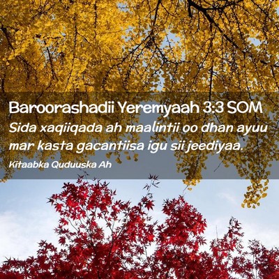 Picture 02 - Baroorashadii Yeremyaah 3:3 SOM - Sida xaqiiqada ah maalintii oo dhan ayuu mar - Bible Verse Picture