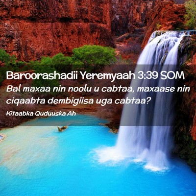 Picture 02 - Baroorashadii Yeremyaah 3:39 SOM - Bal maxaa nin noolu u cabtaa, maxaase nin - Bible Verse Picture