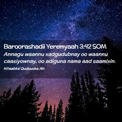 Picture 02 - Baroorashadii Yeremyaah 3:42 SOM - Annagu waannu xadgudubnay oo waannu caasiyownay, - Bible Verse Picture