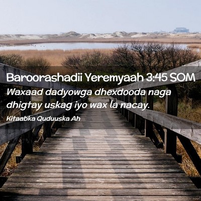 Picture 02 - Baroorashadii Yeremyaah 3:45 SOM - Waxaad dadyowga dhexdooda naga dhigtay uskag iyo - Bible Verse Picture