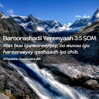 Picture 02 - Baroorashadii Yeremyaah 3:5 SOM - Wax buu igu wareejiyey, oo wuxuu igu hareereeyey - Bible Verse Picture