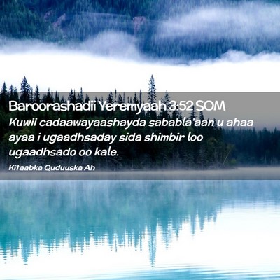 Picture 02 - Baroorashadii Yeremyaah 3:52 SOM - Kuwii cadaawayaashayda sababla'aan u ahaa ayaa i - Bible Verse Picture