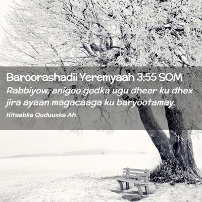 Picture 02 - Baroorashadii Yeremyaah 3:55 SOM - Rabbiyow, anigoo godka ugu dheer ku dhex jira - Bible Verse Picture