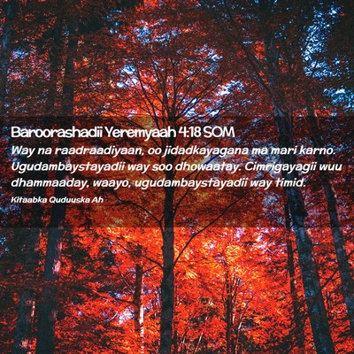 Picture 02 - Baroorashadii Yeremyaah 4:18 SOM - Way na raadraadiyaan, oo jidadkayagana ma mari - Bible Verse Picture