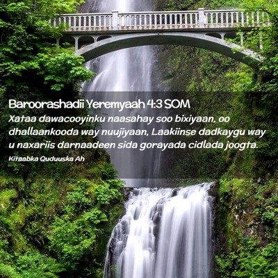 Picture 02 - Baroorashadii Yeremyaah 4:3 SOM - Xataa dawacooyinku naasahay soo bixiyaan, oo - Bible Verse Picture