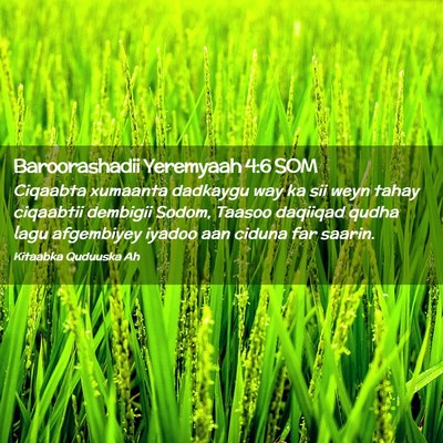 Picture 02 - Baroorashadii Yeremyaah 4:6 SOM - Ciqaabta xumaanta dadkaygu way ka sii weyn tahay - Bible Verse Picture