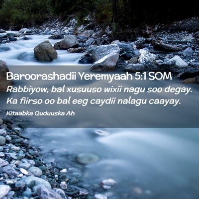 Picture 02 - Baroorashadii Yeremyaah 5:1 SOM - Rabbiyow, bal xusuuso wixii nagu soo degay. Ka - Bible Verse Picture