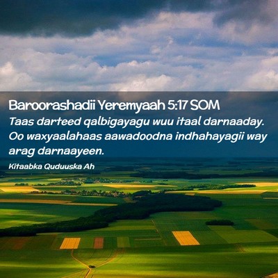Picture 02 - Baroorashadii Yeremyaah 5:17 SOM - Taas darteed qalbigayagu wuu itaal darnaaday. Oo - Bible Verse Picture