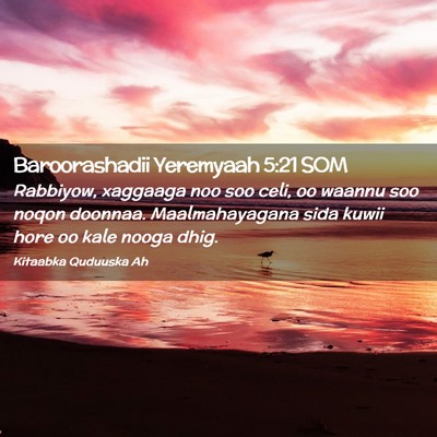 Picture 02 - Baroorashadii Yeremyaah 5:21 SOM - Rabbiyow, xaggaaga noo soo celi, oo waannu soo - Bible Verse Picture