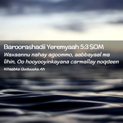 Picture 02 - Baroorashadii Yeremyaah 5:3 SOM - Waxaannu nahay agoommo, aabbayaal ma lihin, Oo - Bible Verse Picture