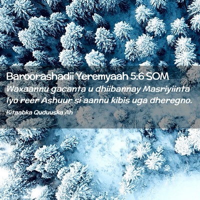 Picture 02 - Baroorashadii Yeremyaah 5:6 SOM - Waxaannu gacanta u dhiibannay Masriyiinta Iyo - Bible Verse Picture