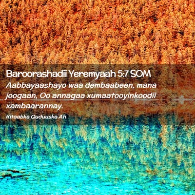 Picture 02 - Baroorashadii Yeremyaah 5:7 SOM - Aabbayaashayo waa dembaabeen, mana joogaan, Oo - Bible Verse Picture