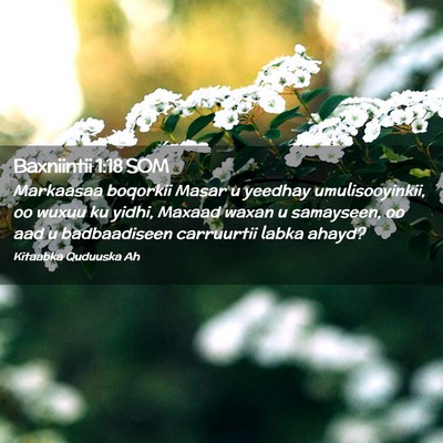 Picture 02 - Baxniintii 1:18 SOM - Markaasaa boqorkii Masar u yeedhay - Bible Verse Picture