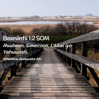 Picture 02 - Baxniintii 1:2 SOM - Ruubeen, Simecoon, Laawi iyo - Bible Verse Picture