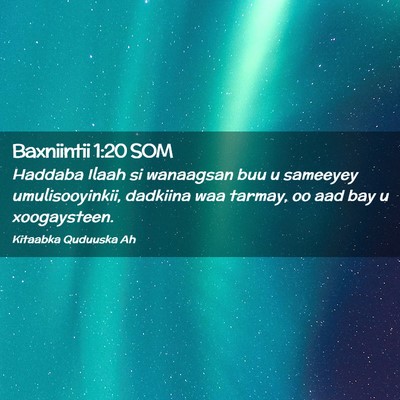 Picture 02 - Baxniintii 1:20 SOM - Haddaba Ilaah si wanaagsan buu u sameeyey - Bible Verse Picture